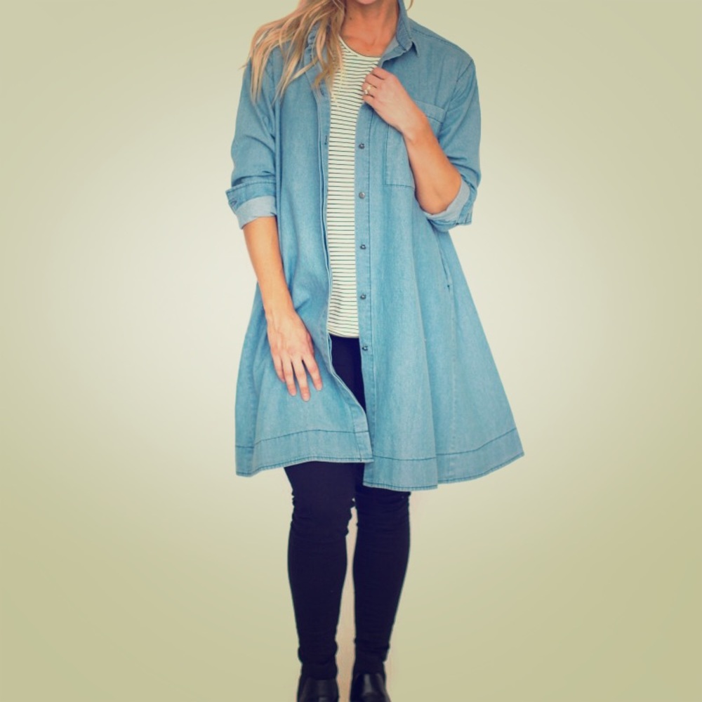 NWT A&D Denim Shirt Dress